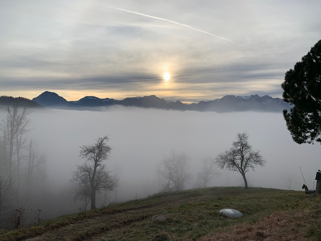Füllbild 